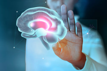 Why Brain Health Shouldn’t Be Ignored